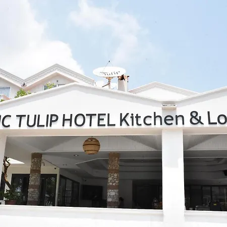 Magic Tulip Hotel 3*
