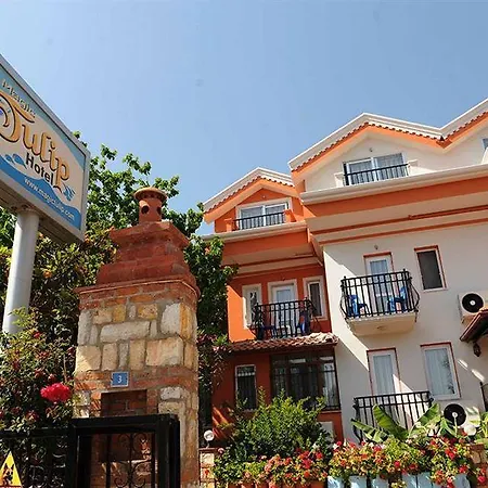 Hotel Magic Tulip